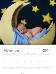 2014 Baby Calendar 