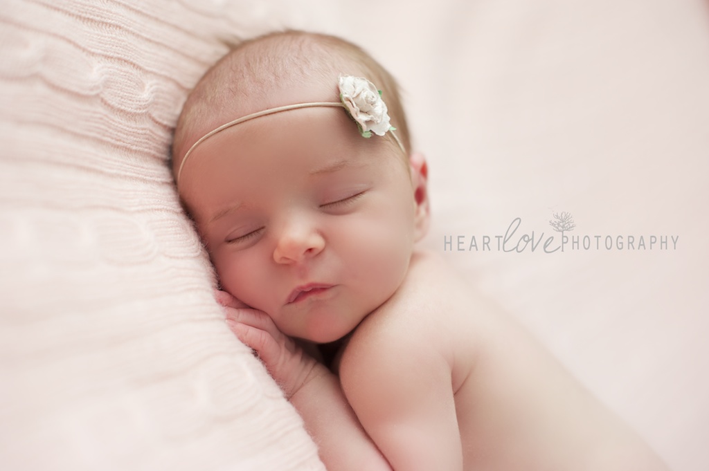 baltimore newborn photography