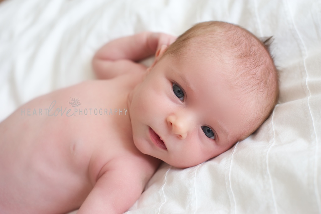 baltimore newborn photography