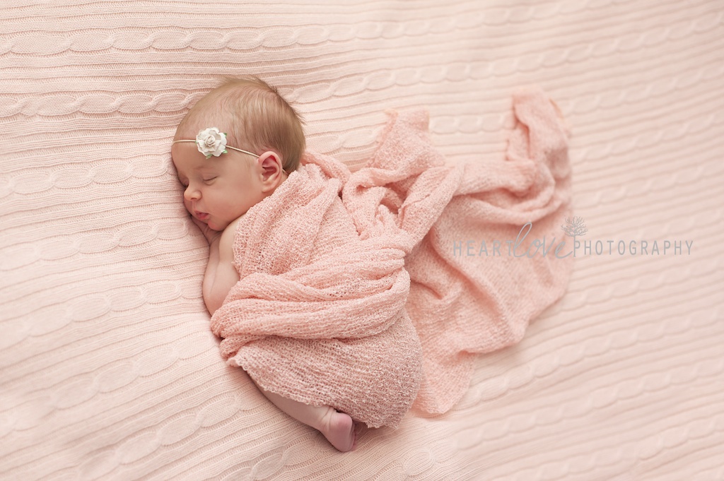 baltimore newborn photography