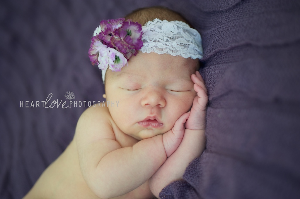 baltimore newborn photography