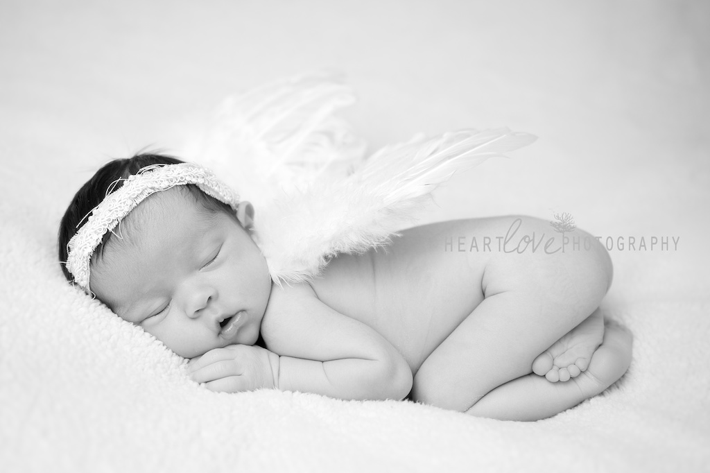 Baltimore Newborn Photographer