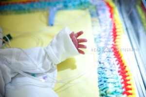 Maryland Newborn Photographer 15