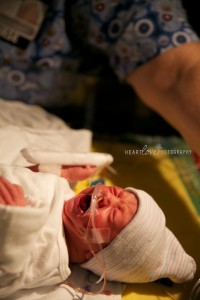 Maryland Newborn Photographer 16