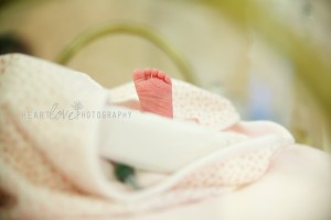 Maryland Newborn Photography 10