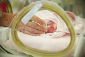 Maryland Newborn Photography 11