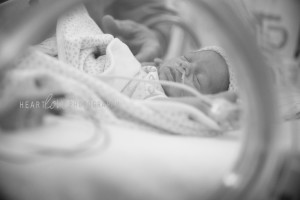 Maryland Newborn Photography 12