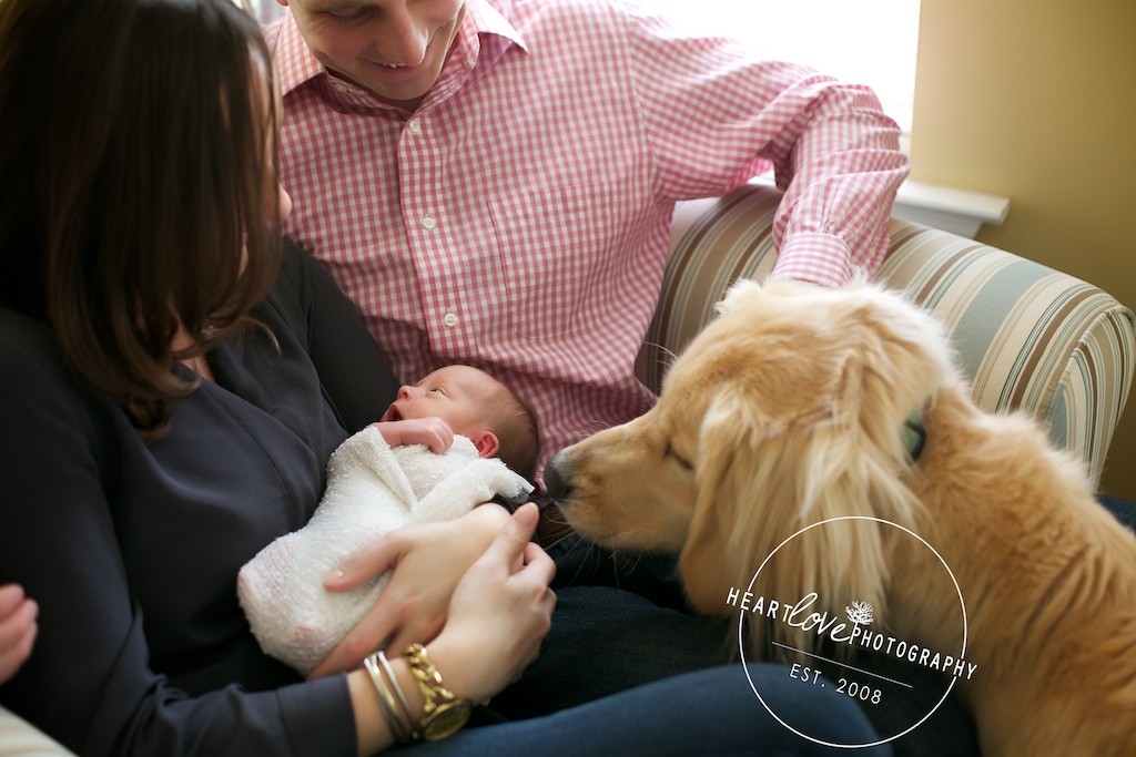 Family Newborn Portrait with Dog