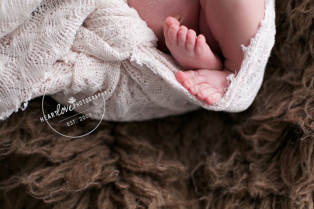 Baltimore Newborn Photographer