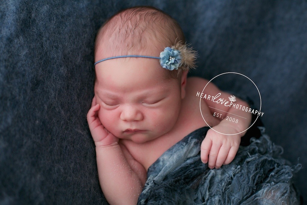 Baltimore Newborn Photographer