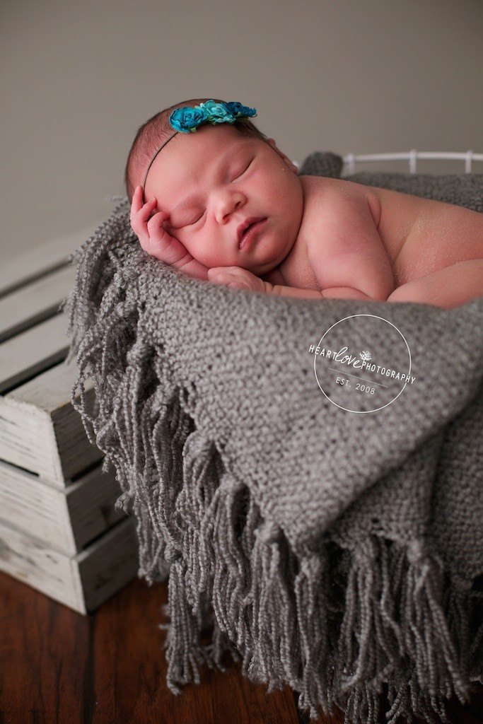 Baltimore Newborn Photographer