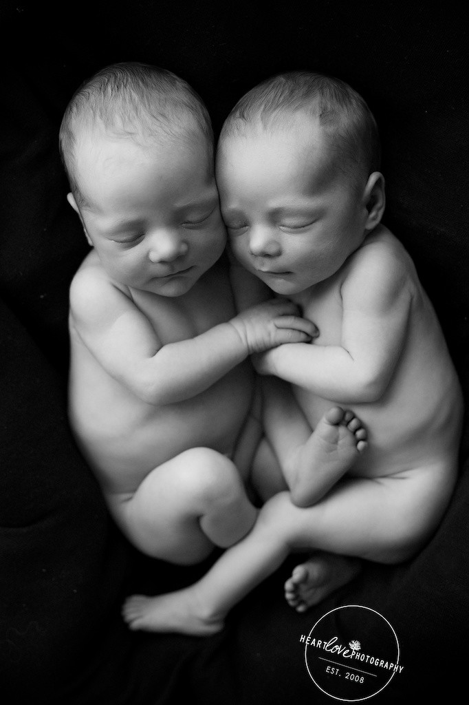 Baltimore Twin Newborn Photography (4)
