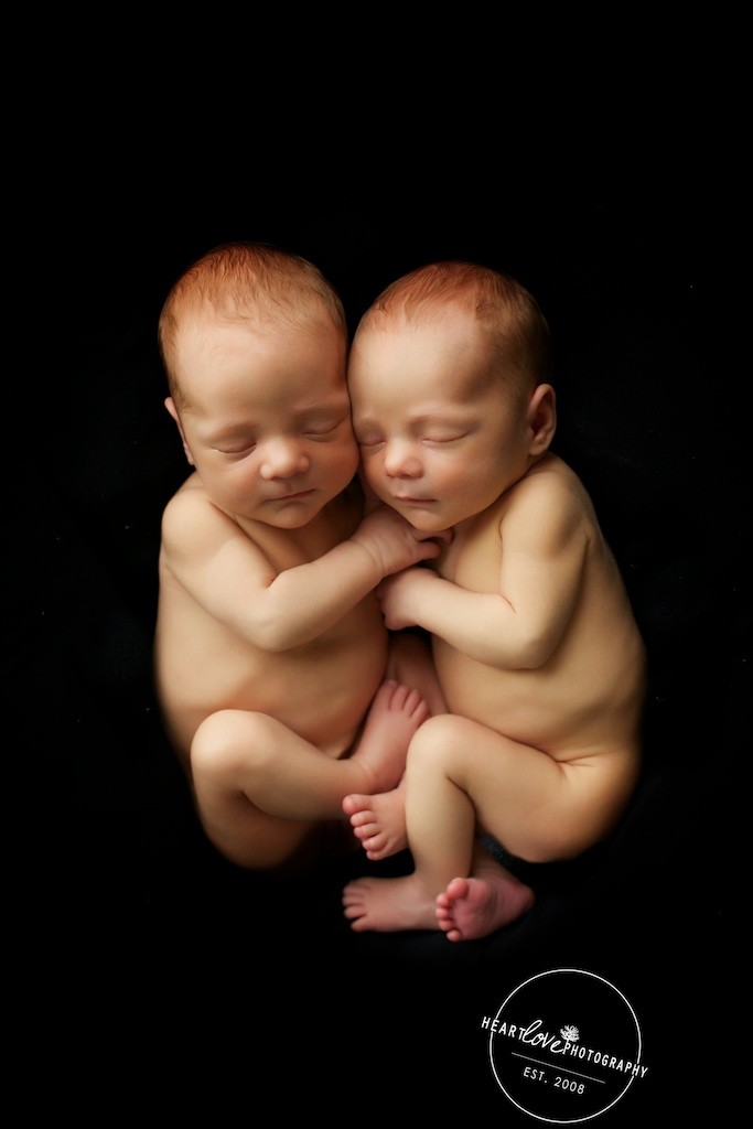 Baltimore Twin Newborn Photography (5)