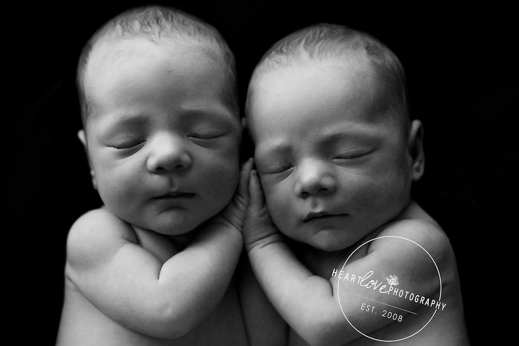 Baltimore Twin Newborn Photography (7)
