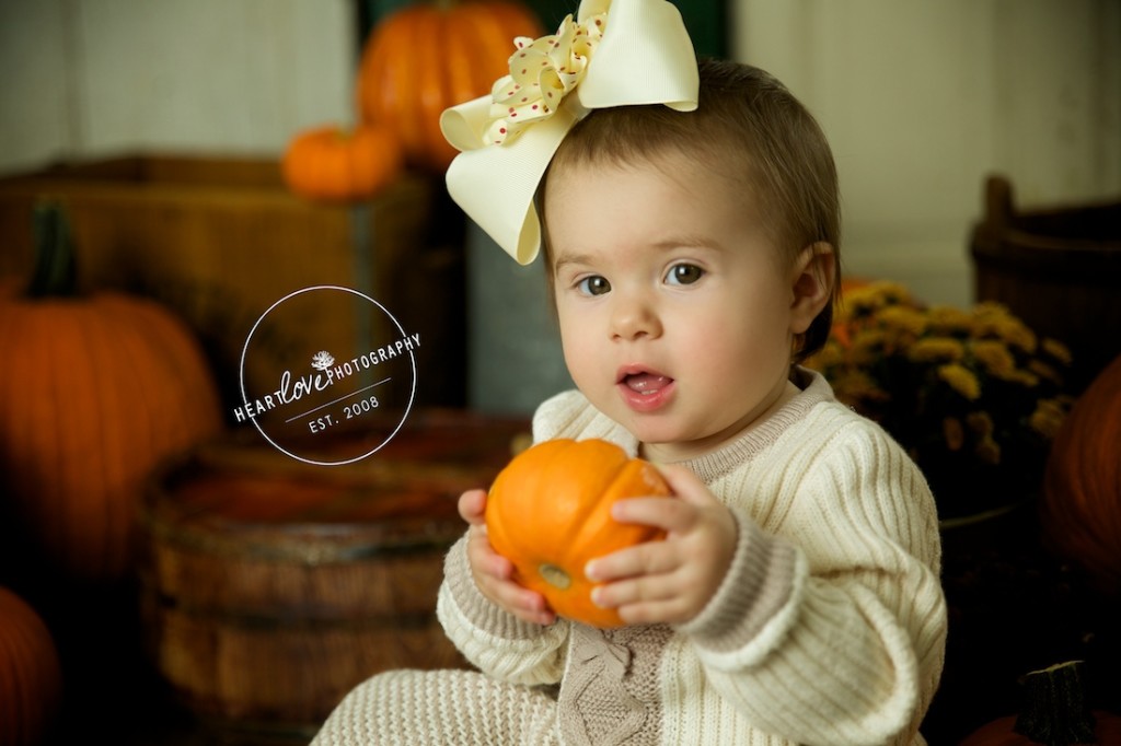 Annapolis MD Fall Mini Sessions