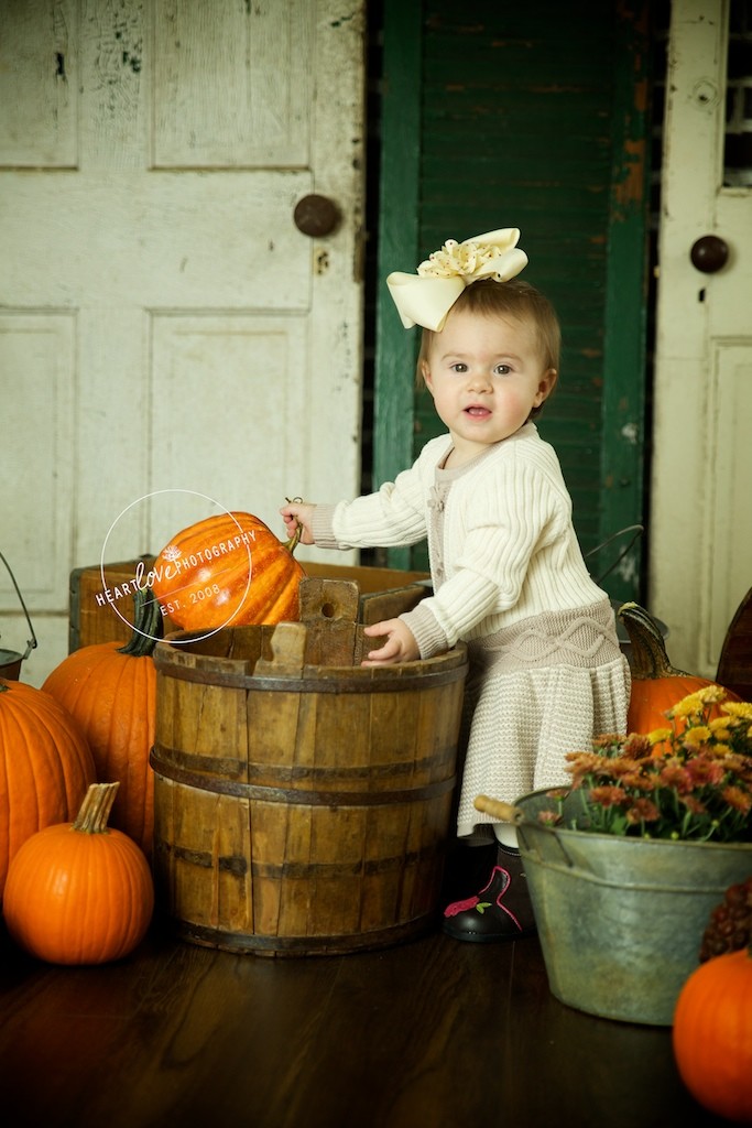 Annapolis MD Fall Mini Sessions