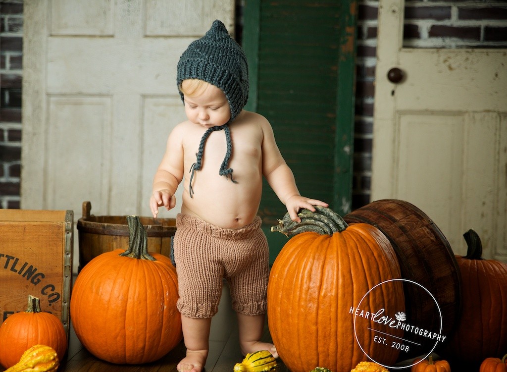 Annapolis MD Fall Mini Sessions