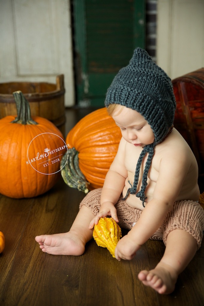 Annapolis MD Fall Mini Sessions