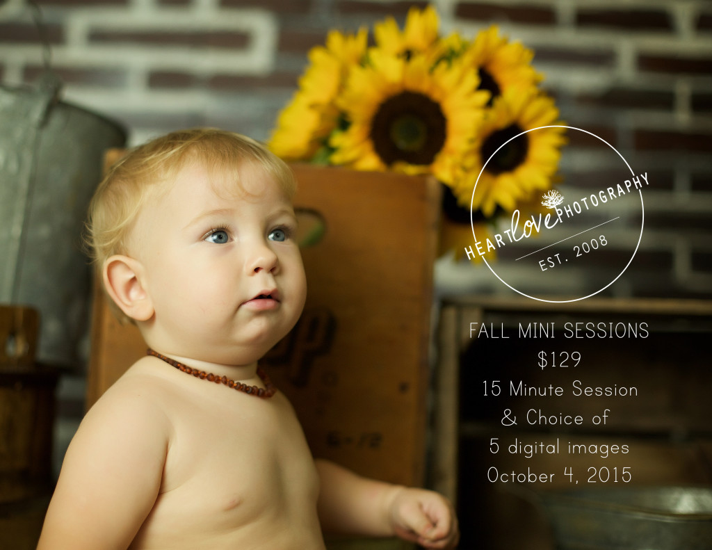 Fall Mini Session 2015 Baltimore Annapolis