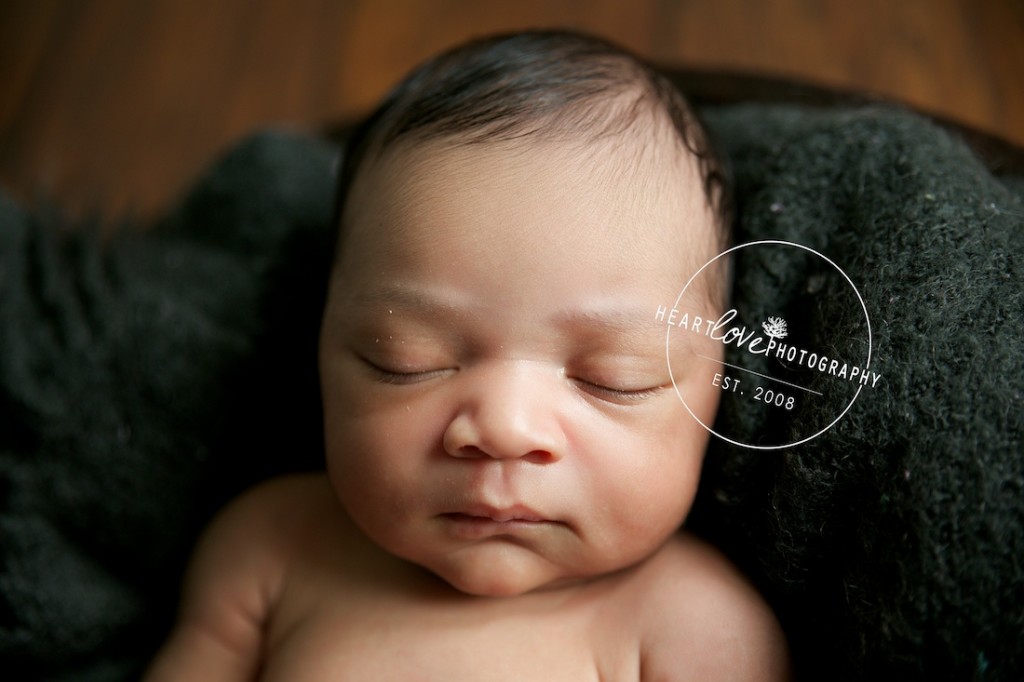 adorable newborn photography pasadena, md