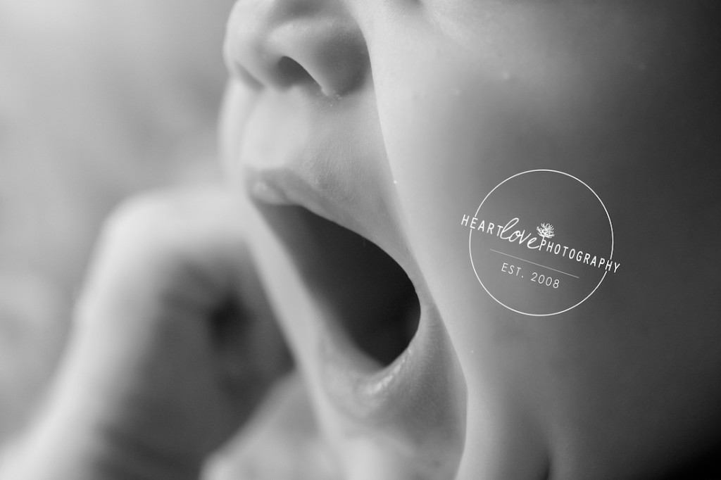 Black and White Newborn Photography