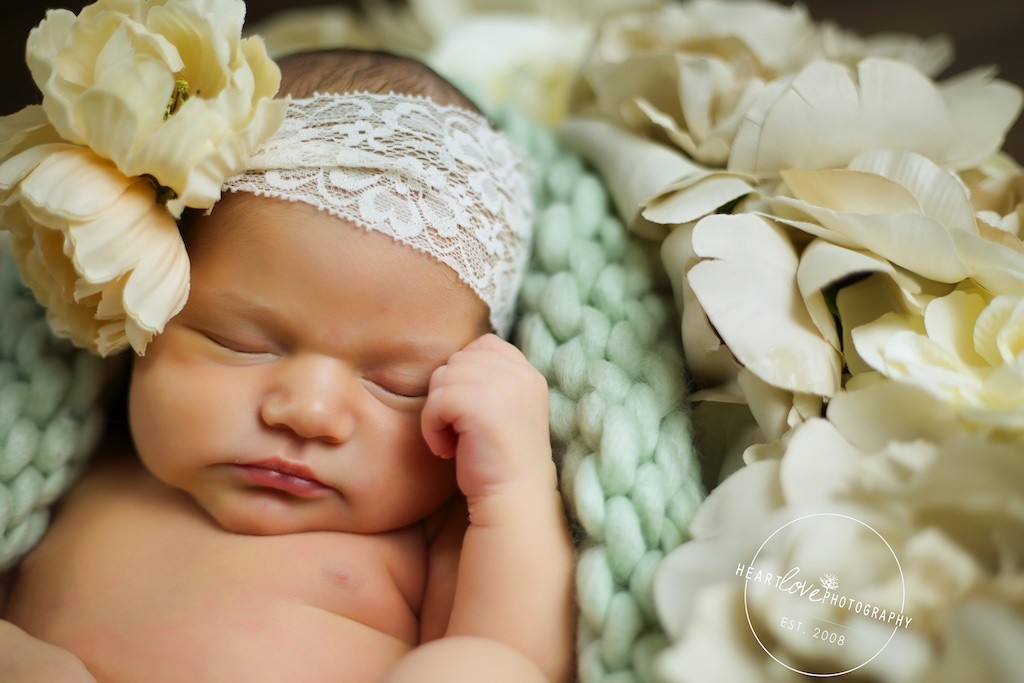 Pasadena MD Newborn Photographer2