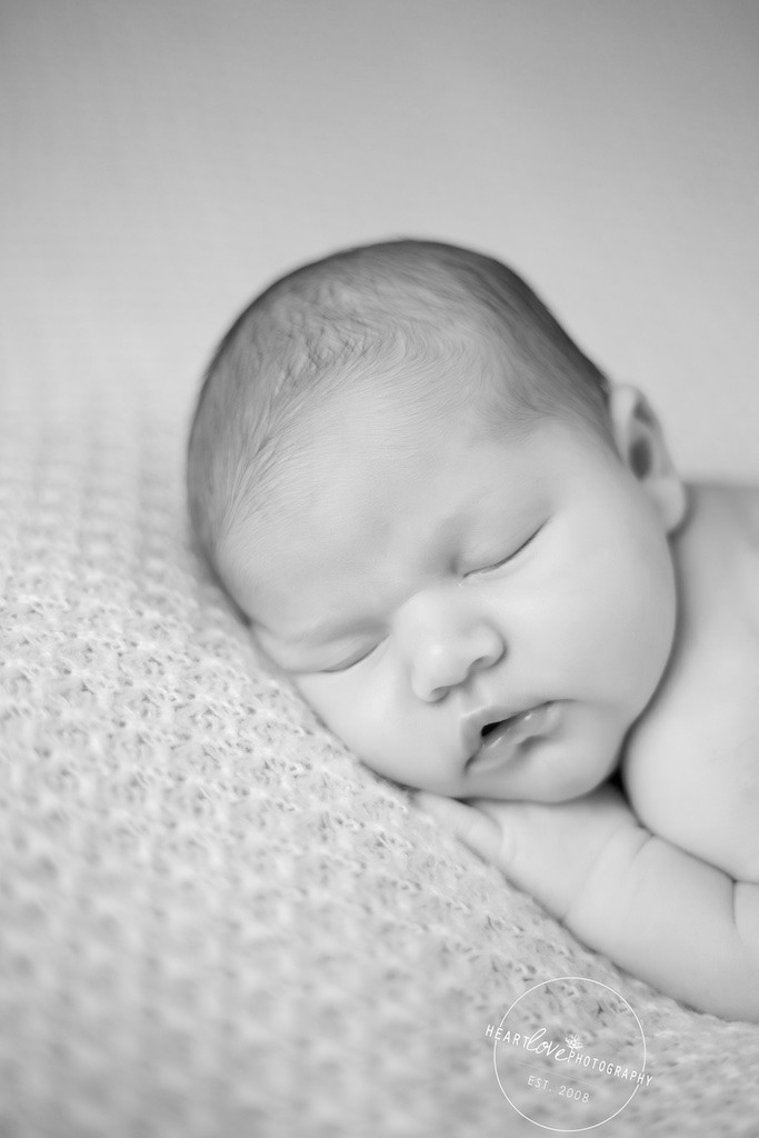 Pasadena MD Newborn Photographer4