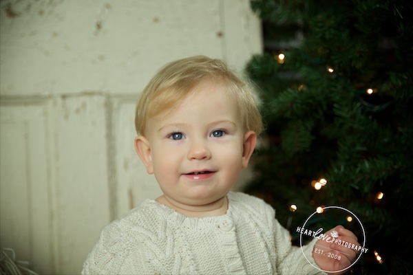 Christmas Mini Session Annapolis Photographer 12