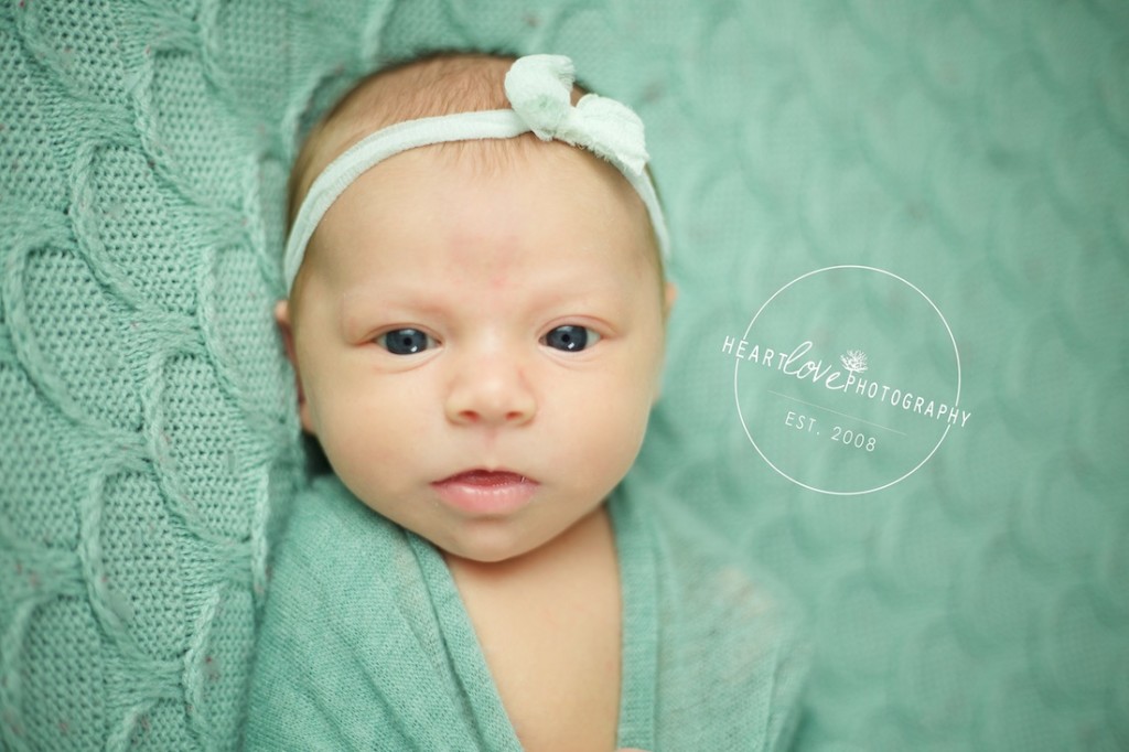 Pasadena MD Newborn Photographer