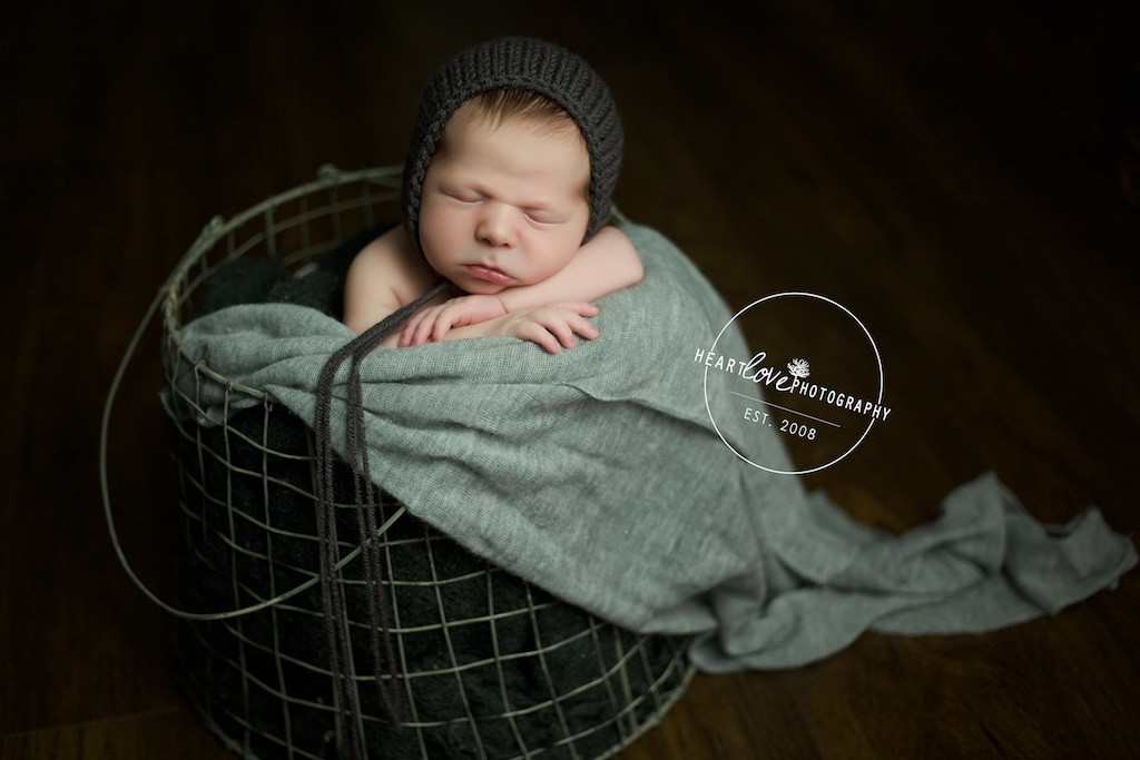 Baltimore Newborn Photographer 0