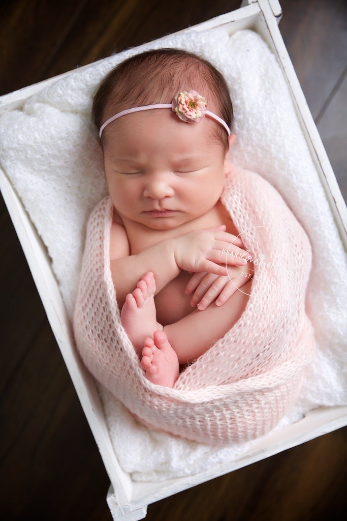 annapolis maryland infant photographer