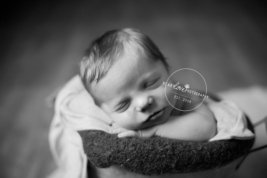 Annapolis Newborn Photographer 17