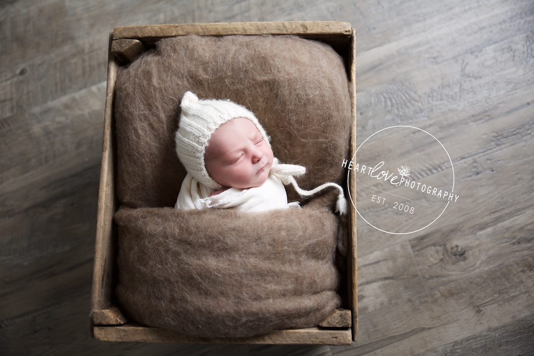 Annapolis Best Newborn Photographer 1