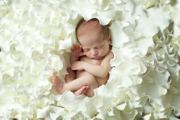 Annapolis Best Newborn Photographer 5