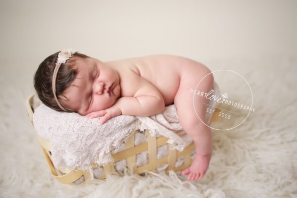 Anne Arundel County Maryland Newborn  Photographer