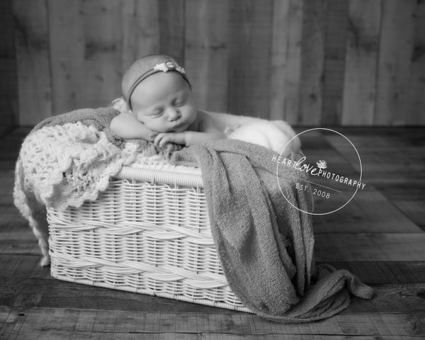 Newborn Photographer in Anne Arundel County, MD
