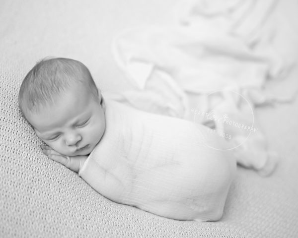 maryland-newborn-photographer-16-1