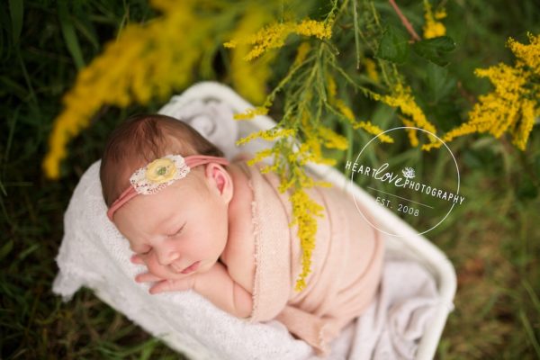 maryland outdoor newborn photography