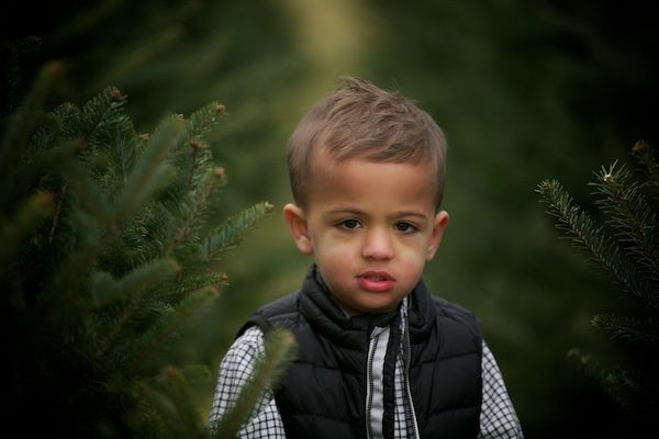 christmas tree farm photography maryland