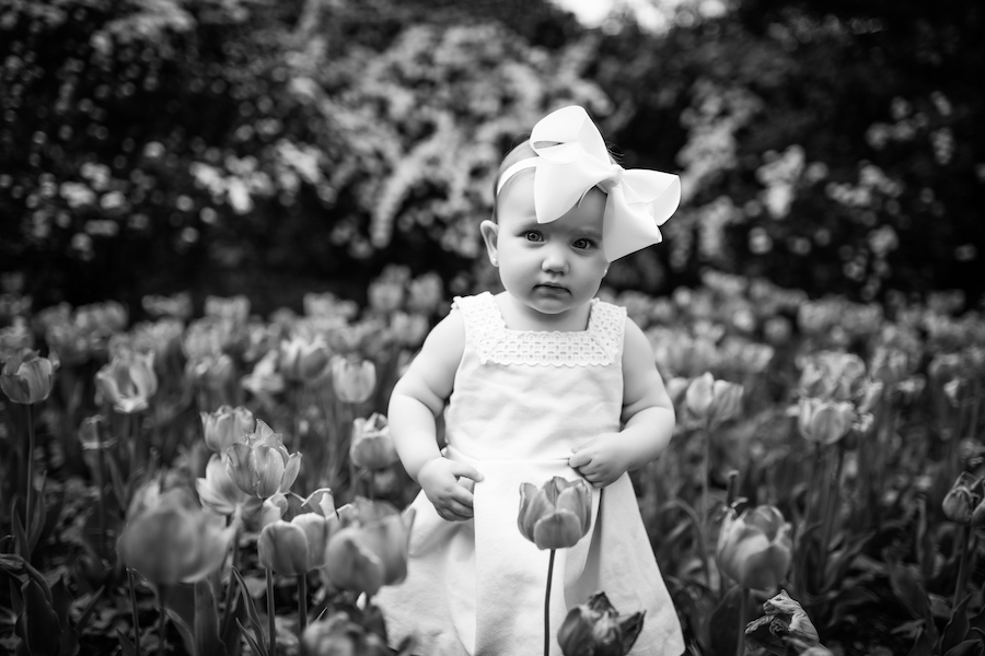 Baby standing in flowers, Baltimore, MD