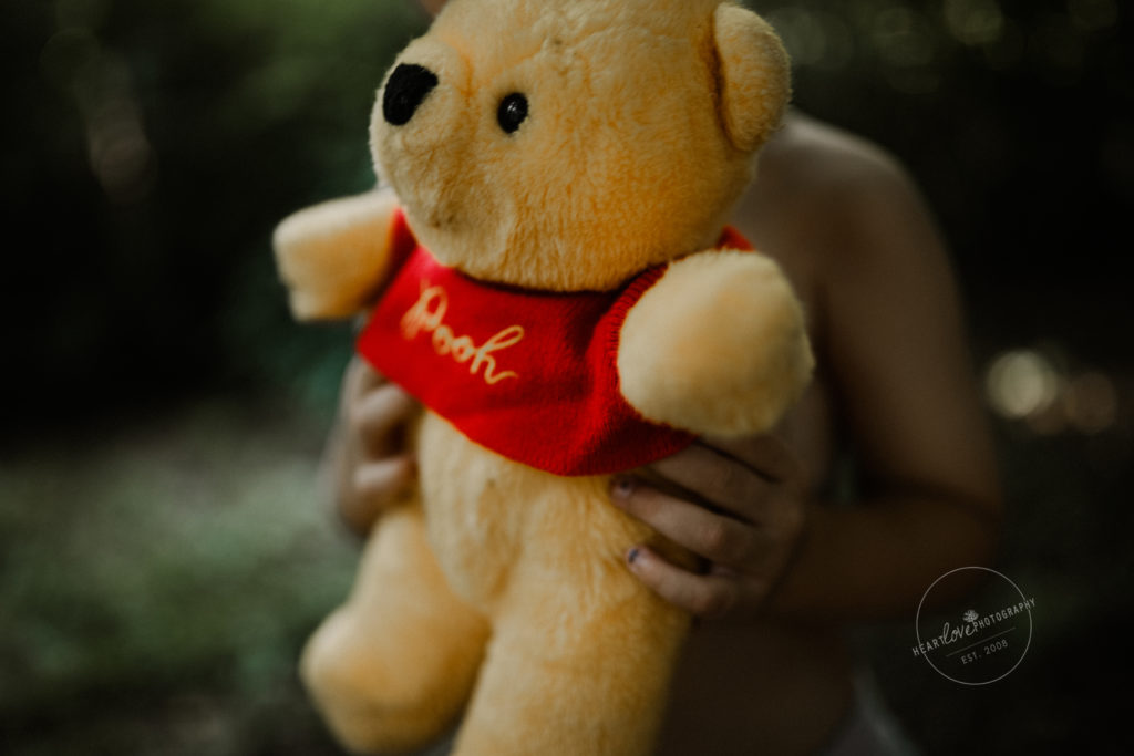 Pooh Bear Mini Sessions 2018 Anne Arundel County Maryland