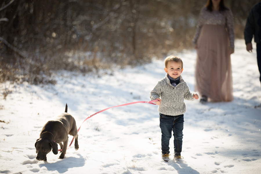 Boy walking dog in snow