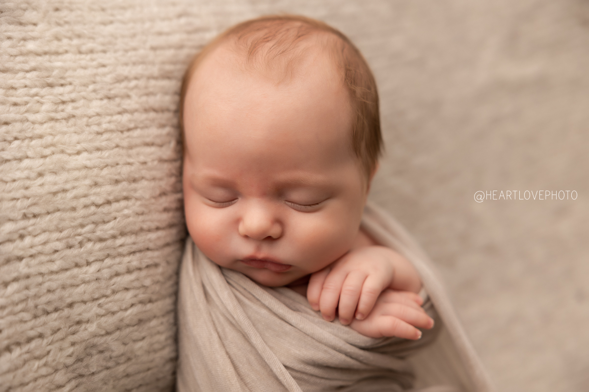 8 week old newborn portraits | annapolis md photographer – Heartlove