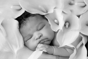 Newborn Baby Girl |Maryland Newborn Photographer | Jillian Mills & Heartlove Photography, LLC