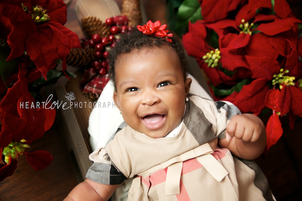 Holiday Mini Sessions Baltimore MD