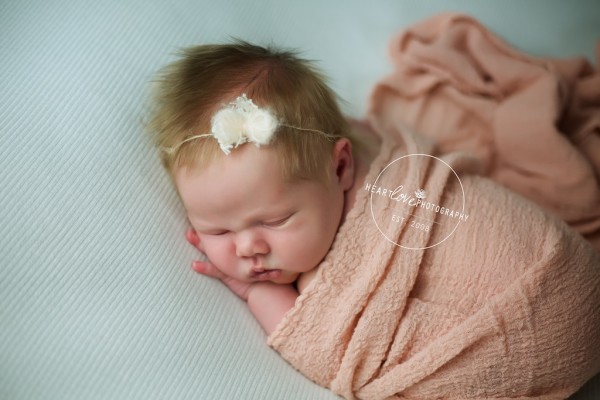 Anne Arundel County MD Newborn Photographer