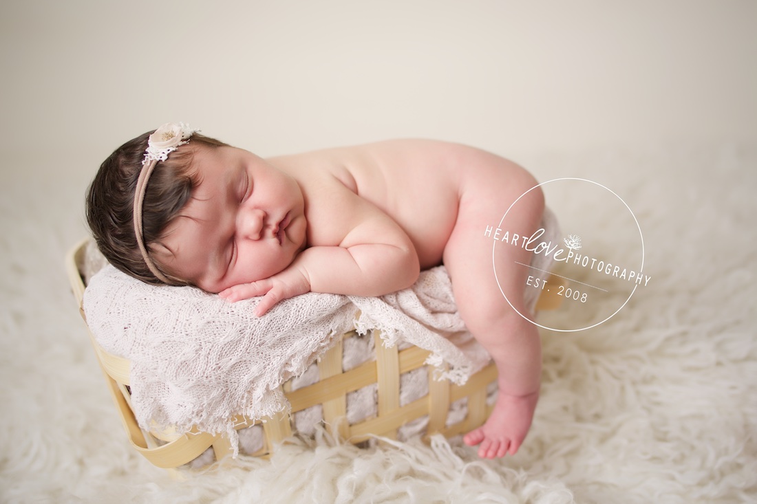 Anne Arundel County Maryland Newborn Photographer