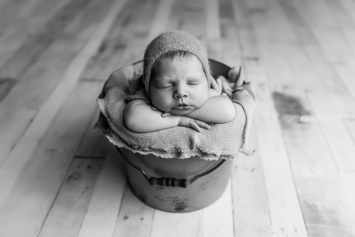 Posed Newborn Photography